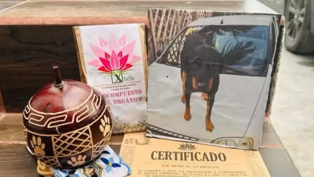 Se acumulan denuncias por casos Xibalbá en la Fiscalía de Chetumal; afectados no quieren que el caso quede impune