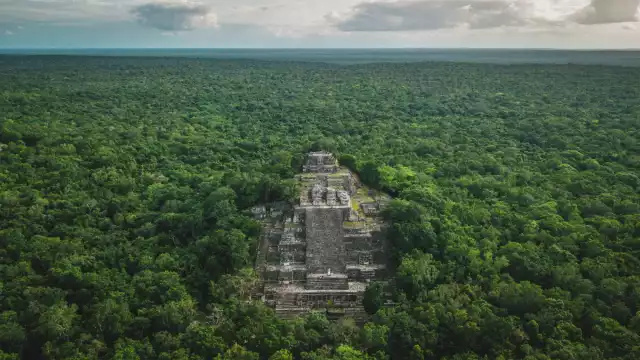 Foto de referencia (Calakmul)