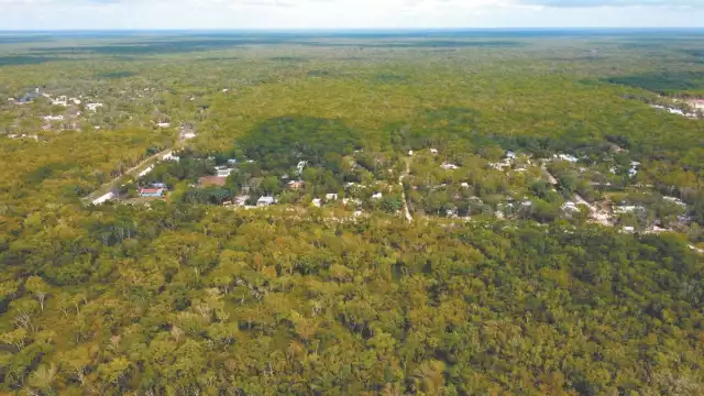 A lo largo de la Costa Maya hay alrededor de 25 asentamientos irregulares; los impulsores se han enriquecido gracias a la venta ilegal de los terrenos. (Fotos: Especial)