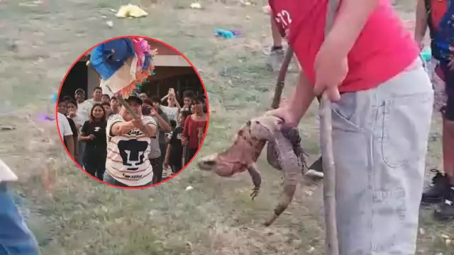 Rompen piñatas con animales vivos: Acusan a diputada de Morena y exigen su renuncia