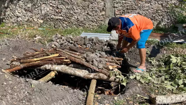 Entre humo y tradición: el pibipollo sobrevive al paso del tiempo en Hopelchén