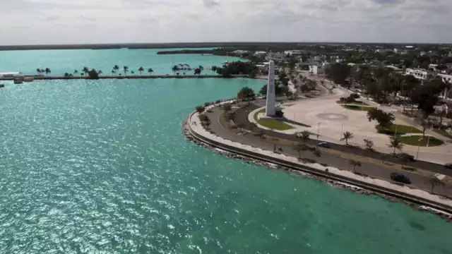 Buscan cultivar jaibas en la bahía de Chetumal