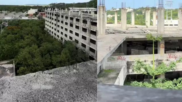 Autoridades investigan el caso como posible suicidio.