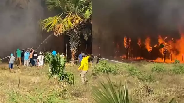 El incendio en Chiquilá amenazaba con alcanzar una gasolinera 