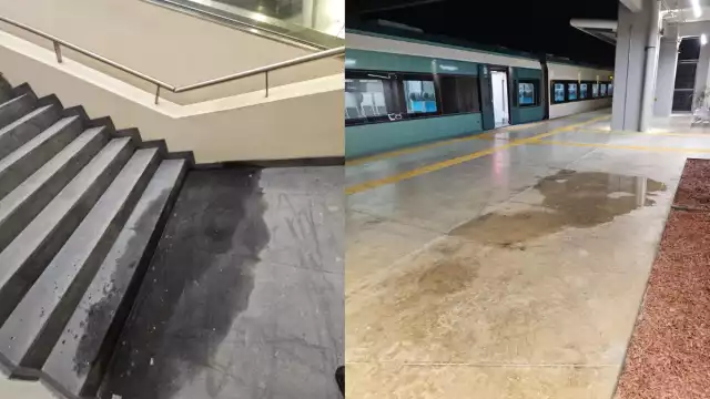 Filtraciones de agua registradas en áreas comunes y de abordaje-descenso de vagones