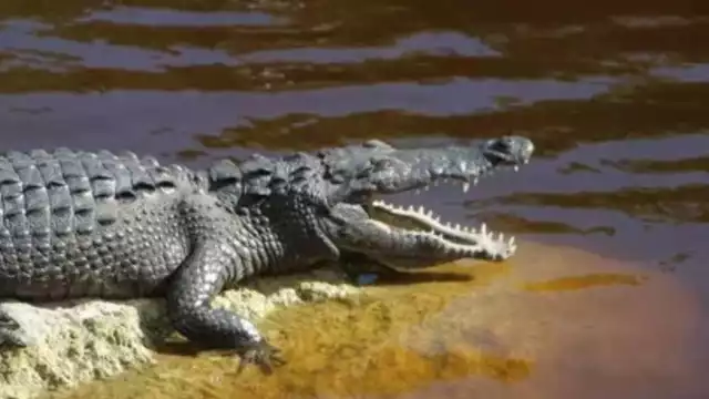 Buscar reforzar seguridad en Bahía de Chetumal