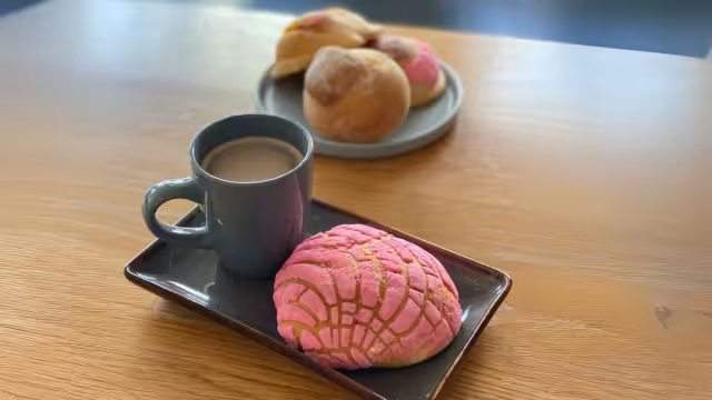 Los campechanos pueden combatir el frío con desayunos tradicionales como panuchos, tamales y chocolate caliente