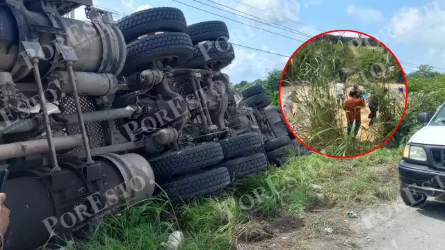 Rapiñan maíz tras volcadura de tráiler en la carretera Escárcega–Villahermosa