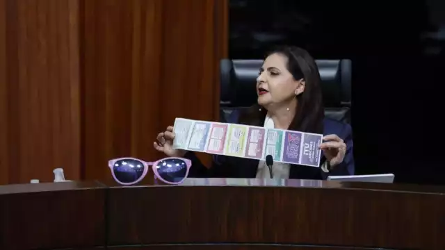 Mónica Soto. magistrada presidenta del Tribunal Electoral del Poder Judicial de la Federación (TEPJF)