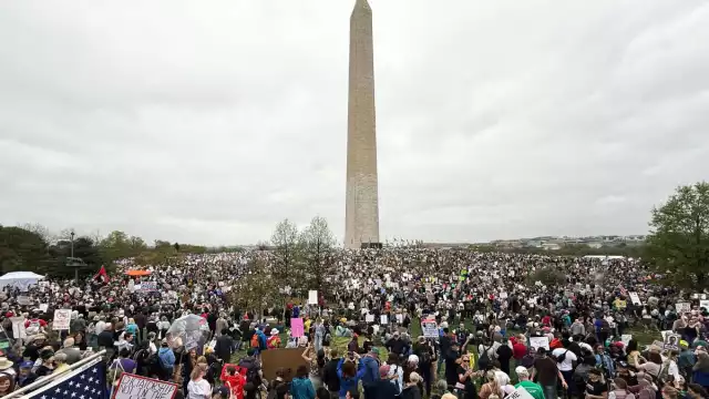 En Washington D.C., alrededor de 20 mil personas se reunieron cerca del Monumento a Washington