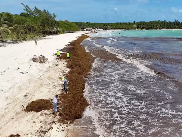 De acuerdo con el Servicio Meteorológico Nacional, las condiciones climáticas y las restricciones prevalecerán hasta mañana