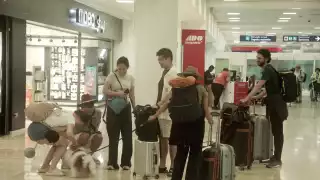 Aeropuerto de Cancún: Pareja de viajeros recorren toda LATAM con “Spok", su perrito
