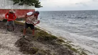 Laboran horas extra para obtener certificación platino en Playa del Niño