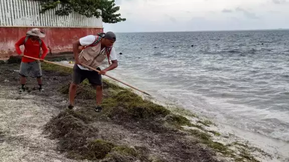 La fecha para obtener la certificación platino está próxima en Quintana Roo La fecha para obtener la certificación platino está próxima en Quintana Roo