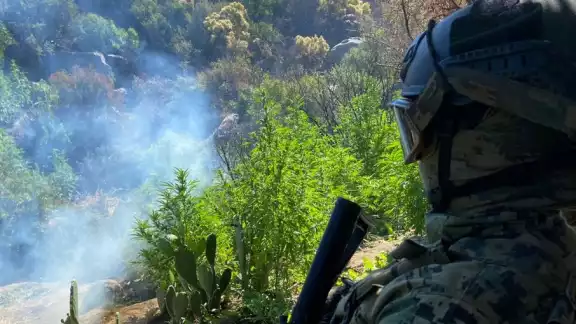 Así fue el operativo de la Marina en Baja California