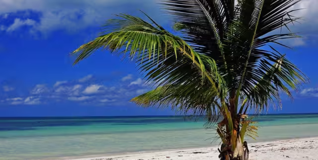 Así lucen las playas en Cuba