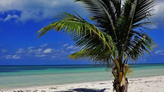 Así lucen las playas en Cuba