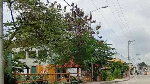 Padres exigen limpieza de canal pluvial en colonia Guanajuato