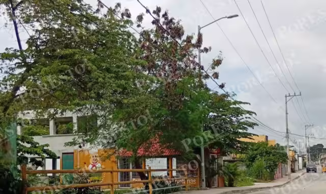 Padres exigen limpieza de canal pluvial en colonia Guanajuato