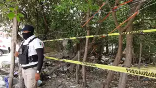 Encuentran a hombre sin vida en un manglar de Ciudad del Carmen