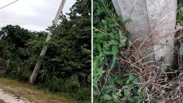 Un poste de concreto de la CFE en Belém, Escárcega, representa un riesgo debido a las lluvias recientes