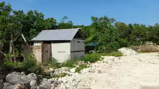 Denuncian falta de servicios públicos en asentamientos irregulares, en Cancún 