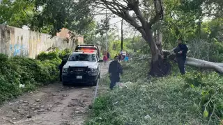 Encuentran restos humanos al interior de un predio en Cancún