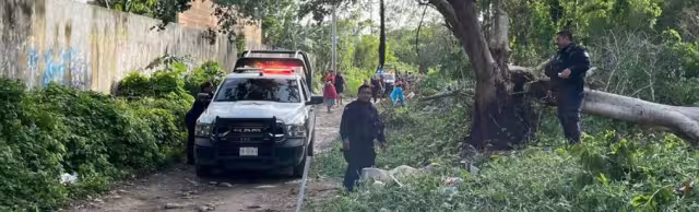 Los restos de una persona permanecían en el predio de Cancún