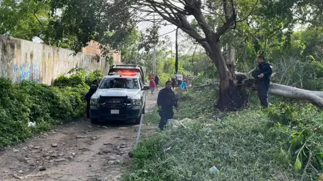 Los restos de una persona permanecían en el predio de Cancún
