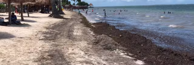 Así luce Playa del Niño este domingo 7 de julio en Cancún