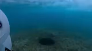Captan ojo de agua en las playas de Cozumel, Quintana Roo: VIDEOS