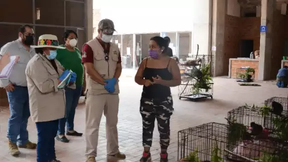 Especialistas verifican el estado de salud de monos en el sur de México Especialistas verifican el estado de salud de monos en el sur de México