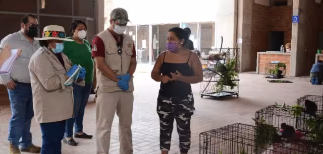 Especialistas verifican el estado de salud de monos en el sur de México