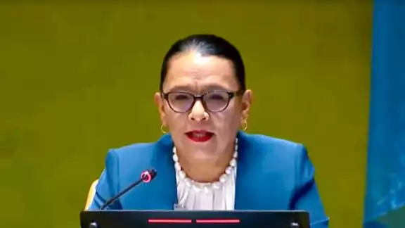 Rosa Icela Rodríguez, titular de la Secretaría de Seguridad Rosa Icela Rodríguez, titular de la Secretaría de Seguridad