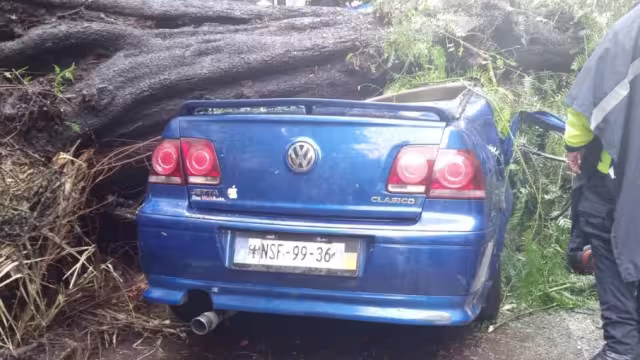 Así terminó el automóvil en Ciudad de México