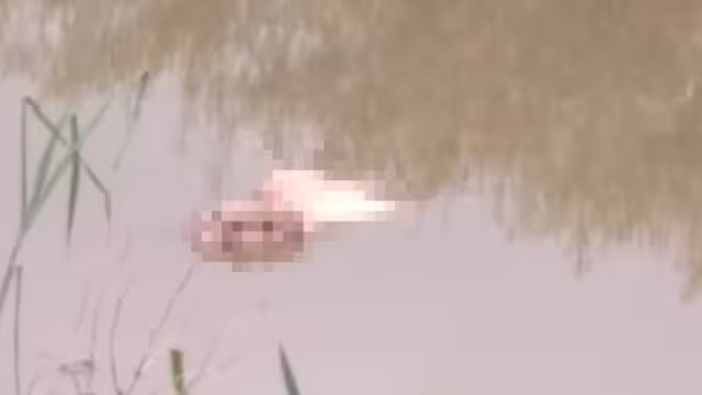 El cuerpo correspondía a un hombre