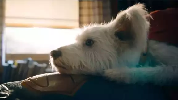El leal perro con superpoderes está basado en la mascota real del director James Gunn El leal perro con superpoderes está basado en la mascota real del director James Gunn