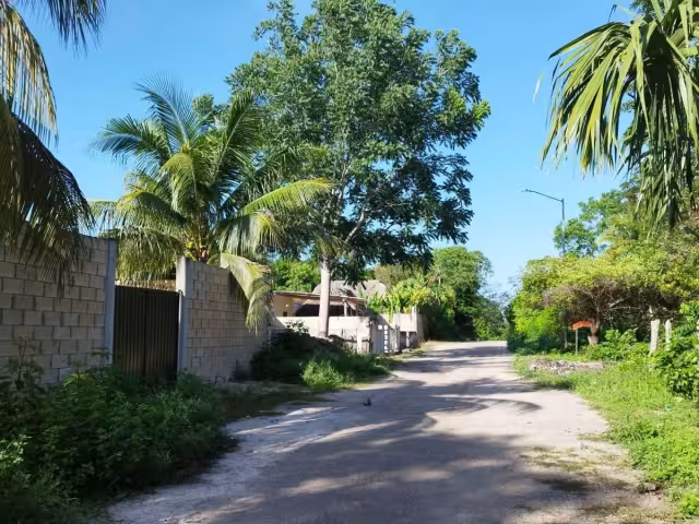 El dueño aseguró a la Fiscalía para interponer la denuncia por el robo