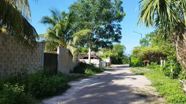 El dueño aseguró a la Fiscalía para interponer la denuncia por el robo