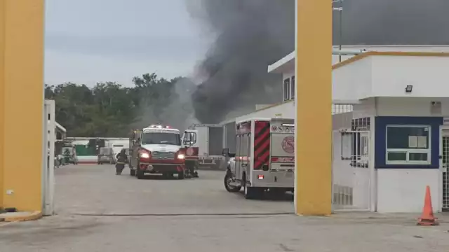 El reporte movilizó a cuerpos de emergencias, quienes acudieron de forma inmediata a controlar el fuego