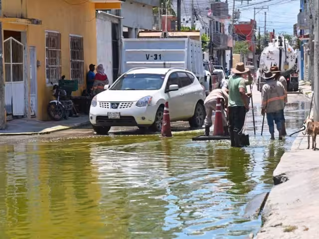 Vecinos alertaron por agua verde y mal olor; llaman a la ciudadanía a mantener limpia la vía pública