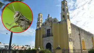 El templo de San Juan Bautista en Mérida y su vínculo con la plaga de langostas que azotó Yucatán 