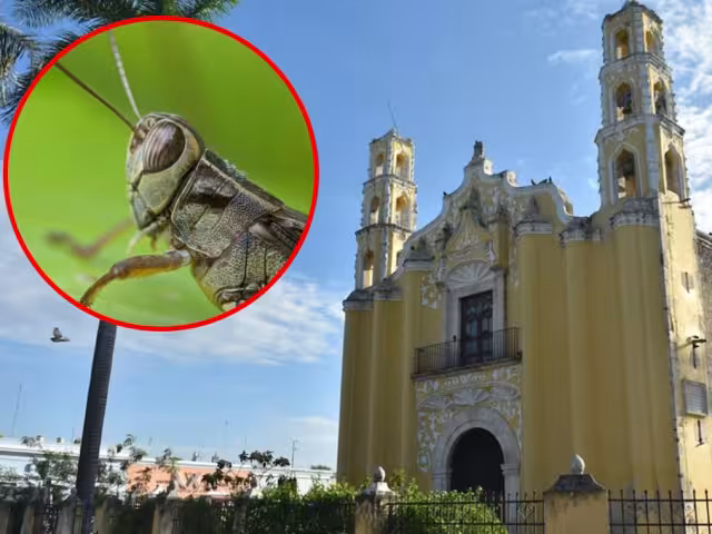 Agobiados por el hambre y la desesperación, vecinos del barrio de San Juan, pidieron la intercesión divina de San Juan Bautista