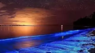 Xpicob: la joya luminosa de Campeche que brilla por las noches