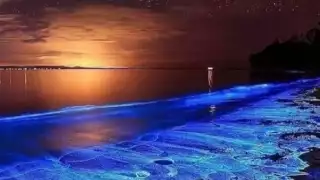 Conoce la playa de bioluminiscencia en Campeche que te encantará 