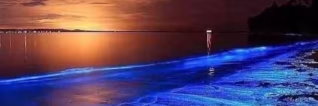 Xpicob regala a turistas experiencias inolvidables