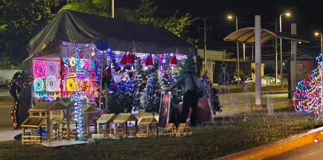 Árboles de Navidad en Campeche cuestan desde 40 hasta 2 mil pesos, dependiendo del tamaño y material.