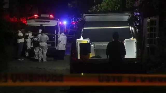 Las cifras del Secretariado Ejecutivo revelan una tendencia preocupante que refleja la falta de protección y respuesta institucional