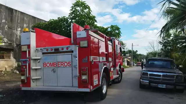 Debido a la conducta de las abejas, bomberos no lograron la captura de la colonia, por lo que pidieron a los vecinos no salir de sus casas.