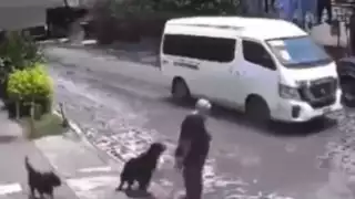 Familia de abuelita atacada por jauría en Querétaro exige justicia: VIDEO